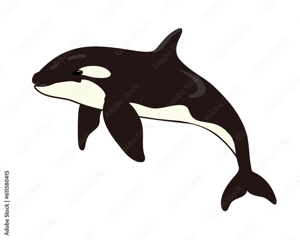 Naklejka premium cartoon killer whale or orca isolated on white background, vector illustration