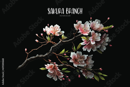 watercolor cherry blossom sakura branch