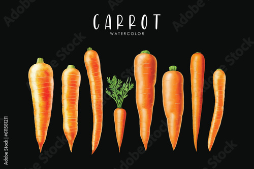 watercolor carrot set on black background photo