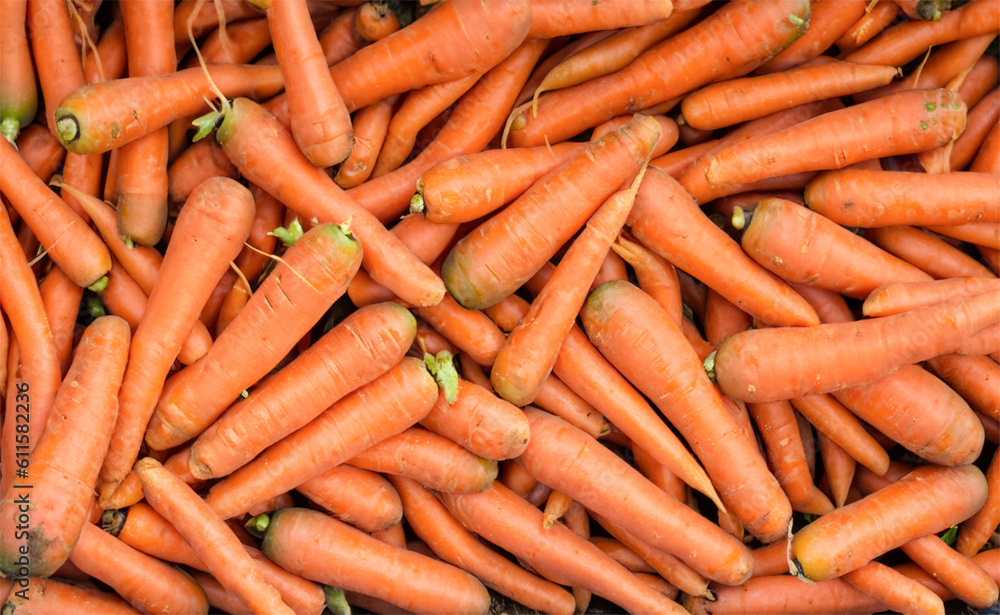 A box of carrots on the farm. Full frame photo of carrots. A box of carrots on the farm. Full frame photo of carrots.