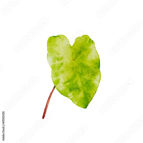 Midori Sour watercolor isolated background.Fresh Plant illustration