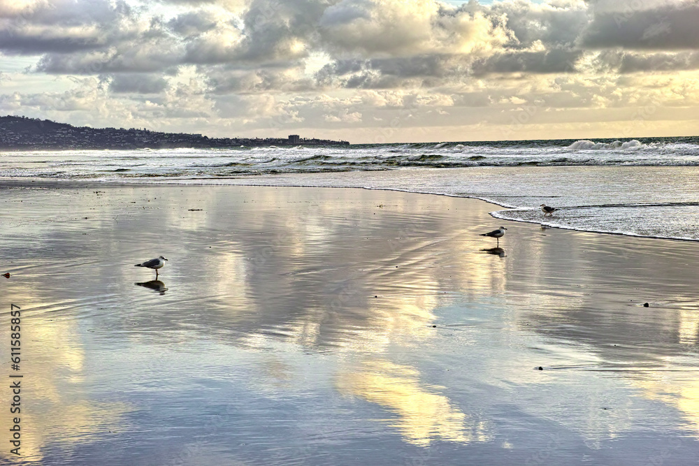 Fototapeta premium Beach, travel and birds on the sand by the ocean with clouds in the blue sky by sunset. Nature, summer and animals by the sea water waves outdoor at dawn on a tropical island with a seascape.