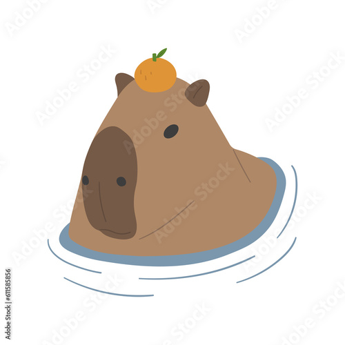 capybara single 12 PNG