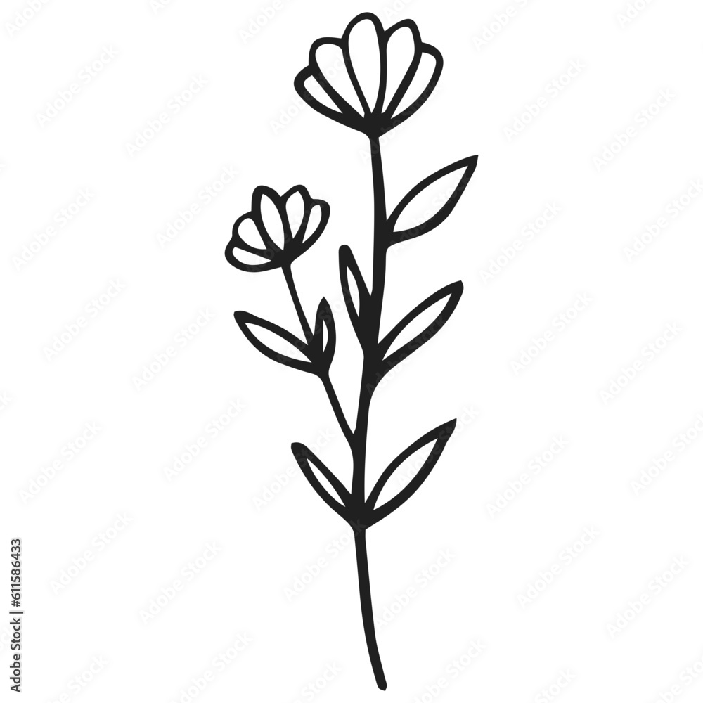 black and white flowers black and white flowers