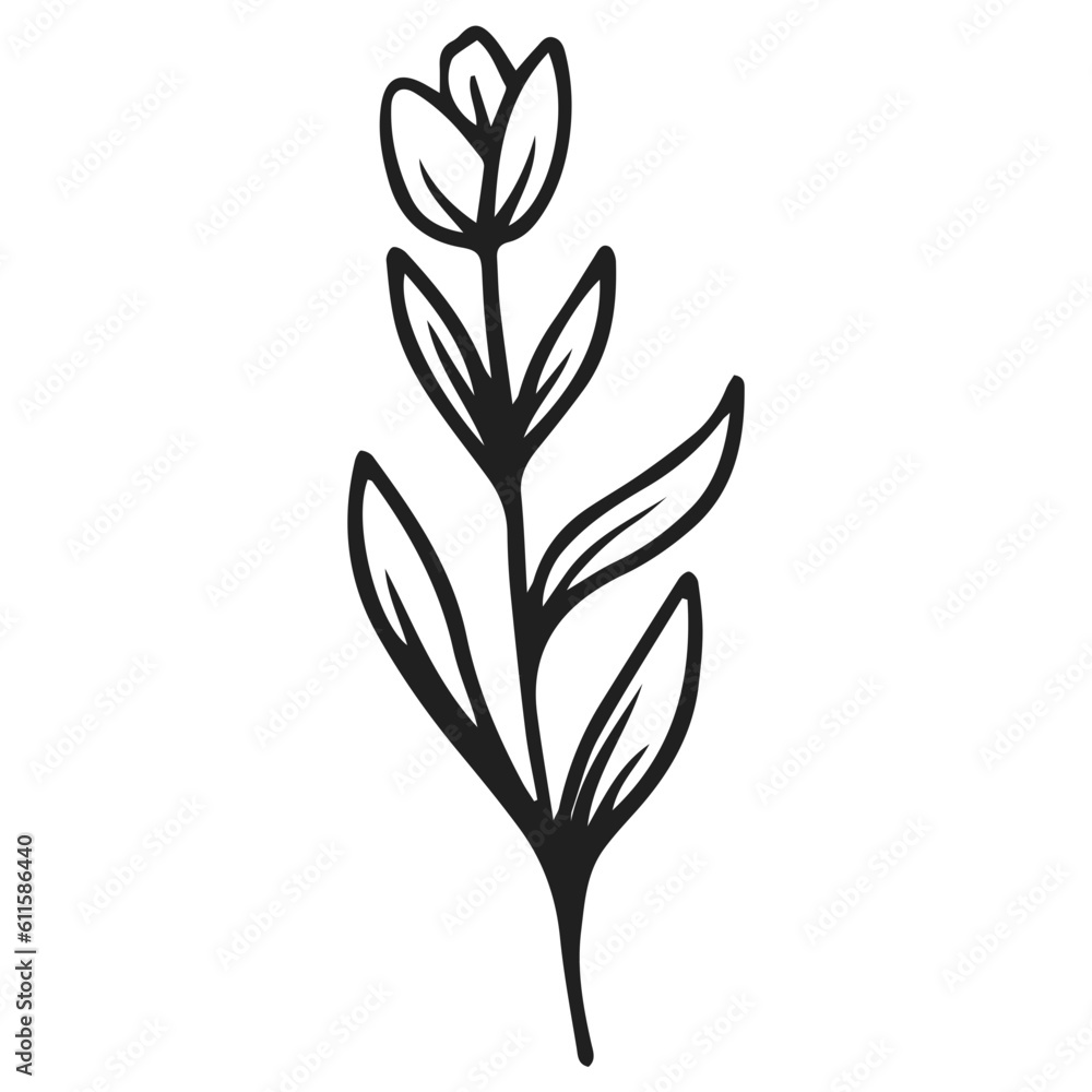 illustration of a flower
