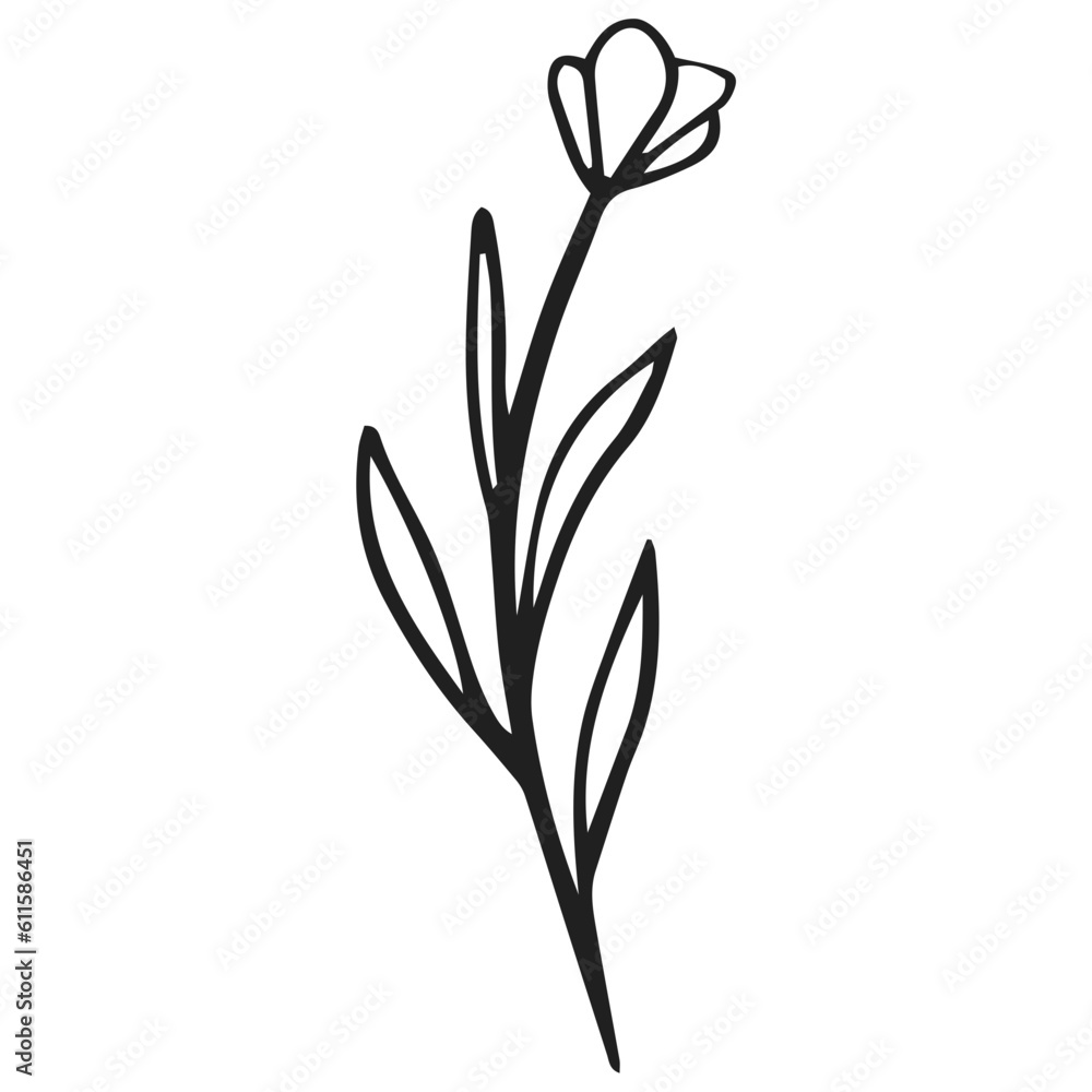 illustration of a flower illustration of a flower
