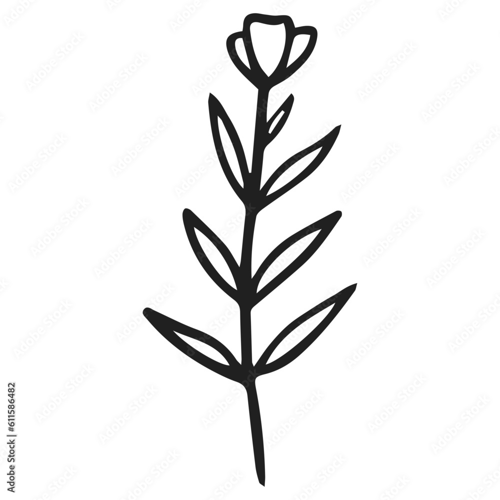 illustration of a plant illustration of a plant
