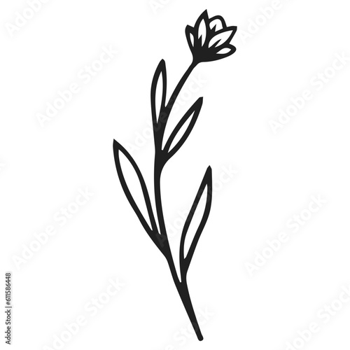 black and white flower isolated