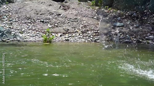 Rock Skipping Across Green Blue Water Lake River Pond