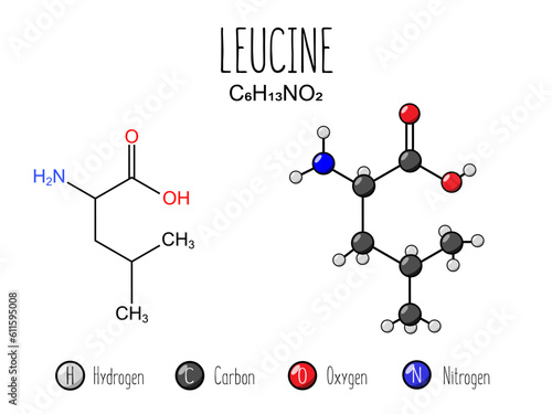 Obraz na plátně Leucine amino acid representation