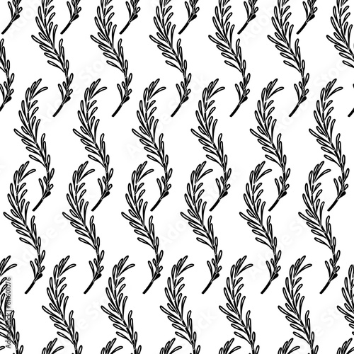 Fototapeta Naklejka Na Ścianę i Meble -  Rosemary branches seamless pattern. Curved abstract rosemary twigs with leaves, herb and spice doodle print, wallpaper. Vector illustration isolated on white background