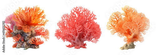 Corals orange red illustration isolated - Generative AI photo