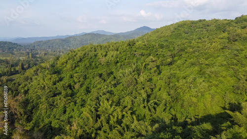 Aerial view of mountains filled with green forests and blue sky background   mountain tops in the background.