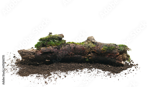 Fresh green moss on rotten trunk and dirt isolated on white, side view, clipping path photo