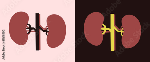 Kidneys minimal illustration in simple trendy style on light and dark background.