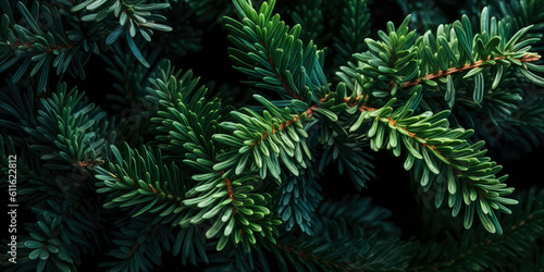 Close up of evergreen conifer fir, spruce, pine. Macro Shoot coniferous branch. Nature forest background, wallpaper. Generative ai © Inai