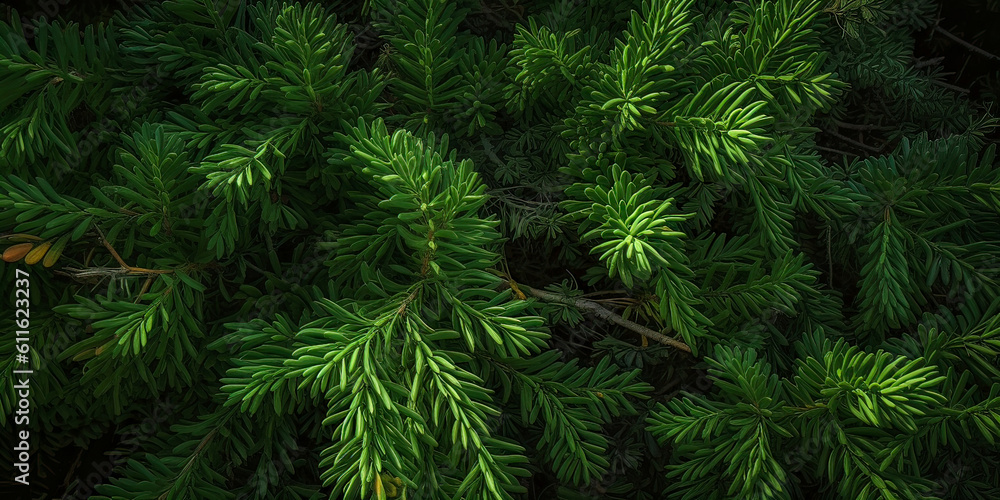 Close up of evergreen conifer fir, spruce, pine. Macro Shoot coniferous branch. Nature forest background, wallpaper. Generative ai Close up of evergreen conifer fir, spruce, pine. Macro Shoot coniferous branch. Nature forest background, wallpaper. Generative ai