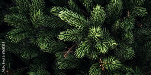 Close up of evergreen conifer fir, spruce, pine. Macro Shoot coniferous branch. Nature forest background, wallpaper. Generative ai © Inai