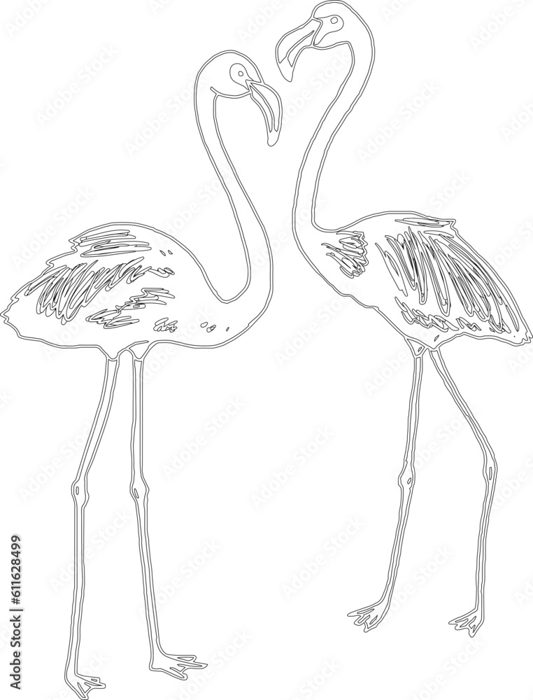 Obraz premium Flamingo bird vector graphic