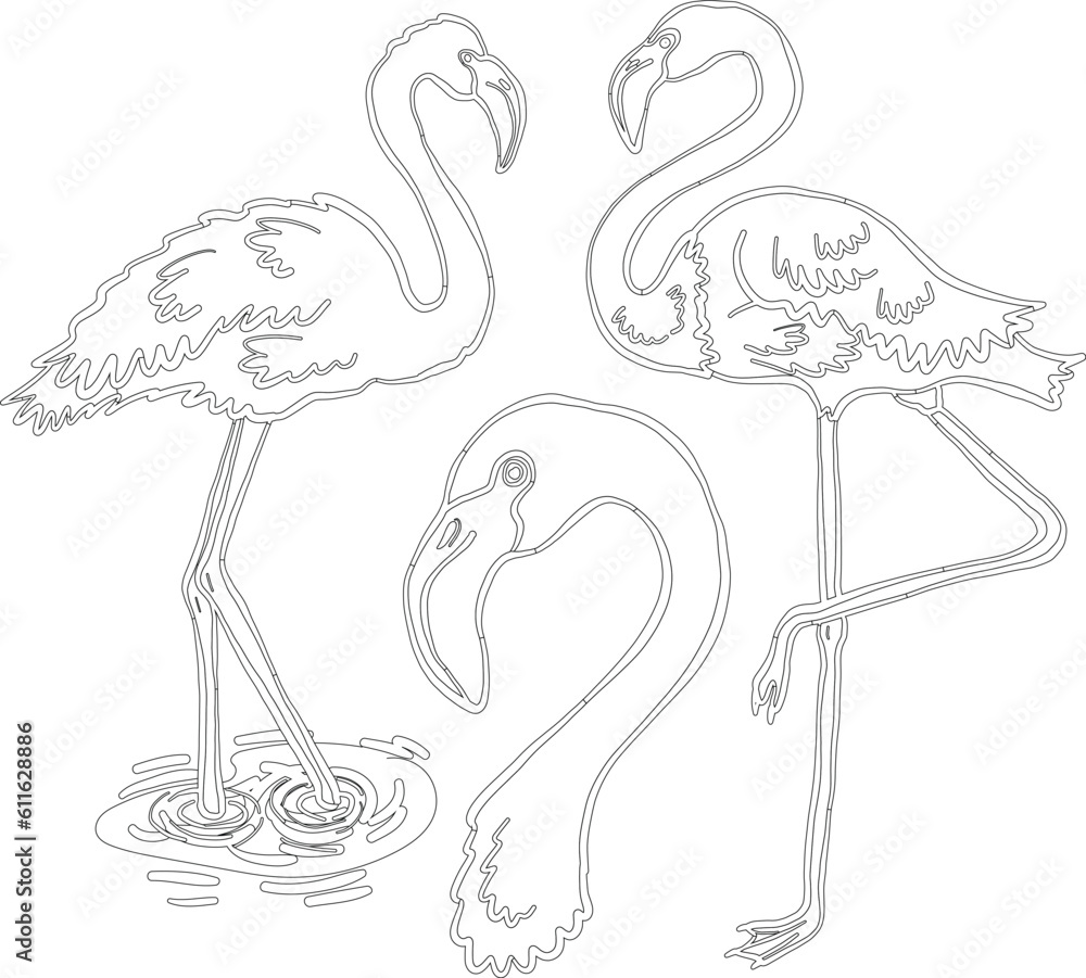 Flamingo bird vector graphic Flamingo bird vector graphic