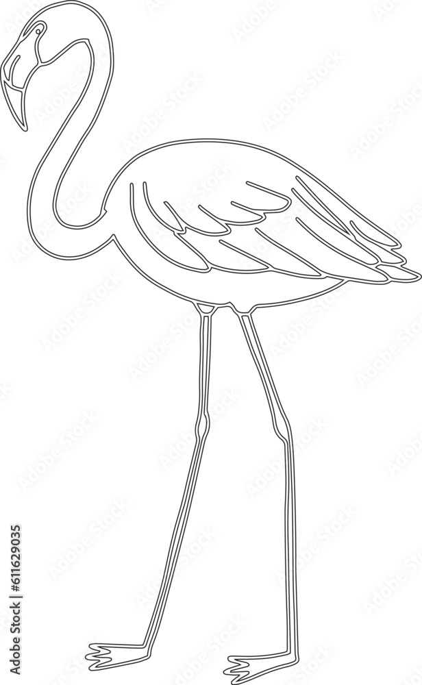Obraz premium Flamingo bird vector graphic