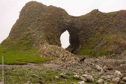 rock formation ancient with tunnel and dog