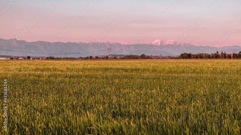 Evening in the countryside of Friuli