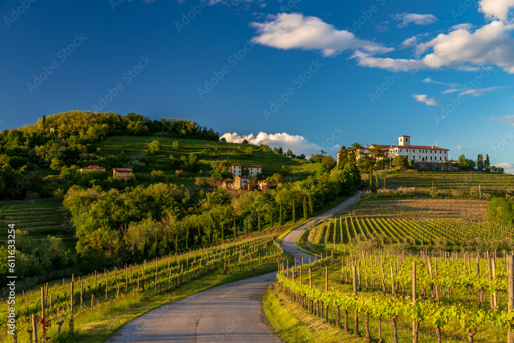 Spring sunset in the vineyards of Rosazzo