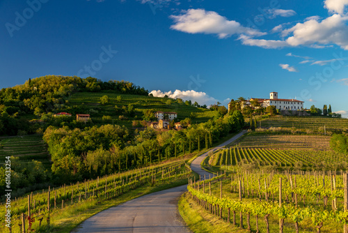 Obraz na płótnie Spring sunset in the vineyards of Rosazzo w salonie