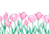 Horizontal seamless floral pattern with delicate pink tulips on a green stem with leaves on a white background. Spring border for card, textile, package design. Hand-drawn watercolor illustration.
