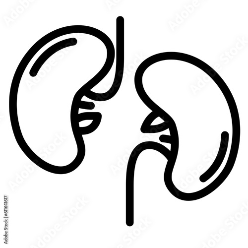 kidney