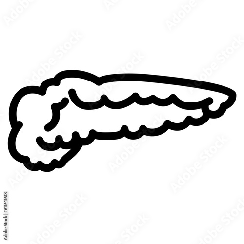 pancreas