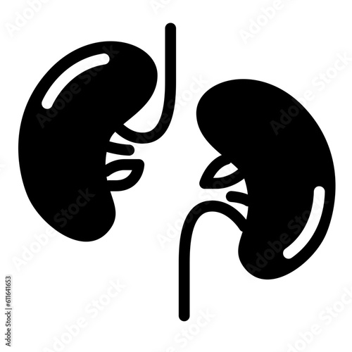 kidney