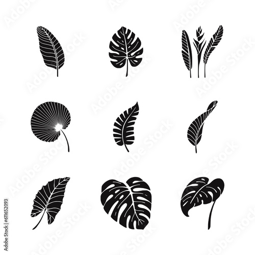 set of silhouettes tropical plants