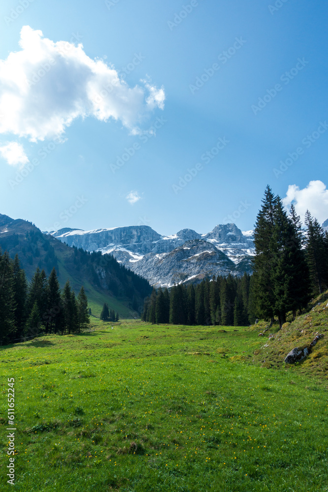 landscape with trees and snowcovered mountains