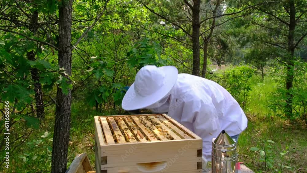 Slow motion of bee hive with open top exposing lot of insects inside while working hard to produce new offspring and honey. Slow motion of bee hive with open top exposing lot of insects inside while working hard to produce new offspring and honey.