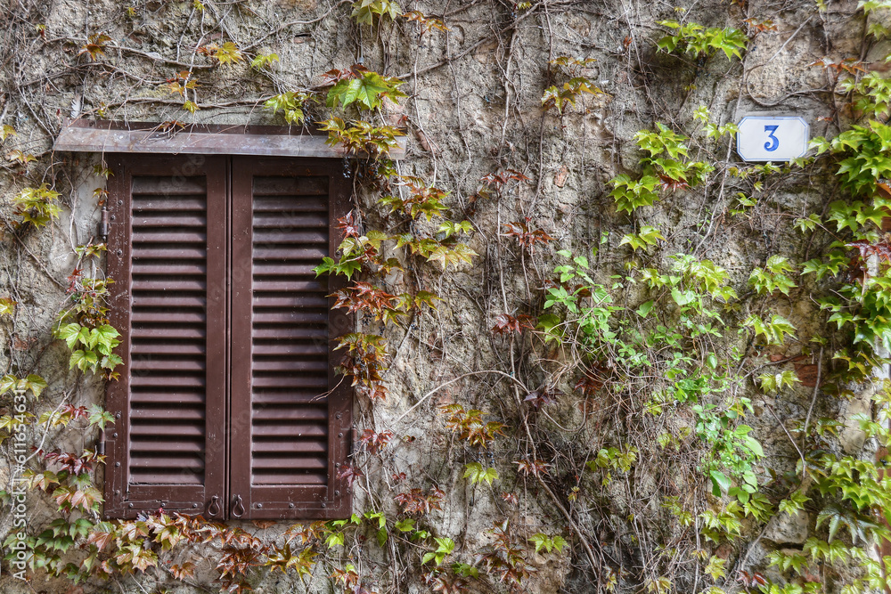 A stone facade with Vine on it and a wooden window A stone facade with Vine on it and a wooden window