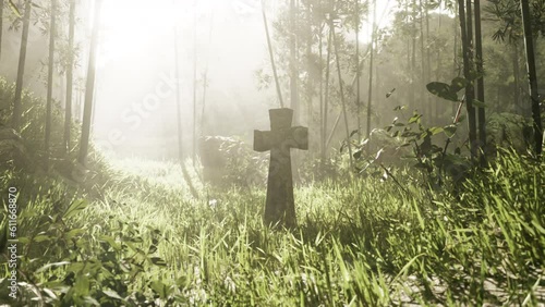 rugged grave marker in the tropical woods photo