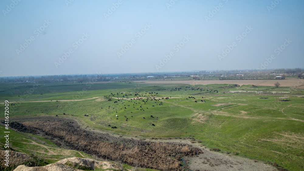 beautiful green valley and black dots