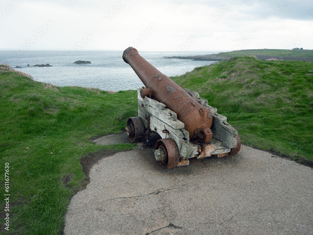 Canon at Eyemouth fort, Scottish Borders