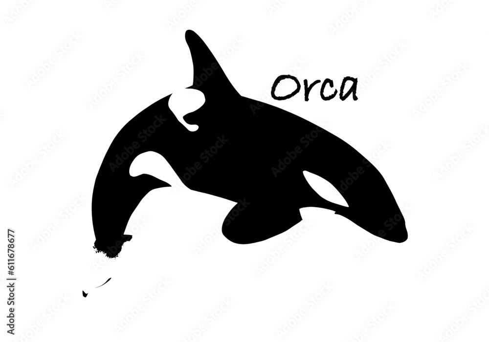 Fototapeta premium Orca silhouette illustration 