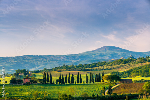 The wavy hills of the landscape in Val d Orcia from San Quirico d Orcia