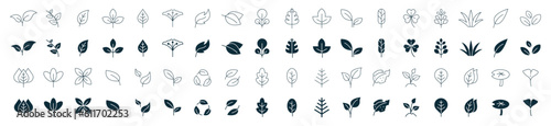 Fotografiet leaf icon set line and fill
