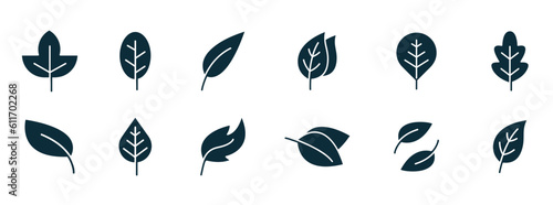 Leaf icon. Vector illustrations of botany, herbal, ecology, bio, organic, vegetarian, eco, fresh, and natural icon set