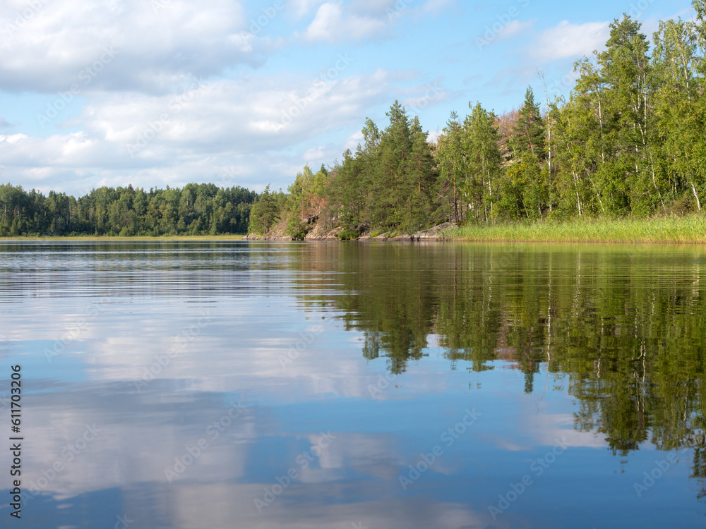 summer landscape on a forest lake