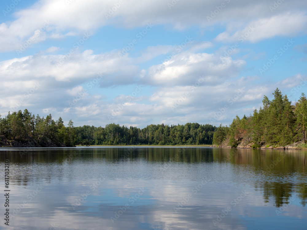 landscape on a forest lake