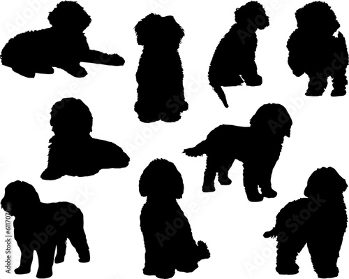 Set of Labradoodle Dogs Silhouette
