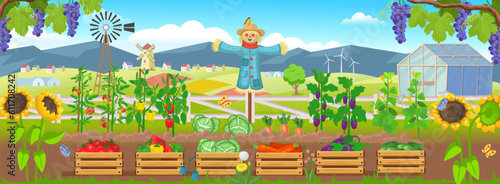 Farm panorama with garden with vegetables on the beds, wooden boxes with vegetables,