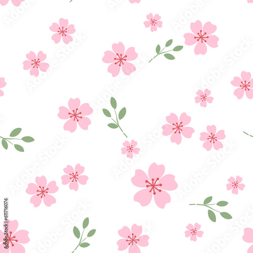 Seamless pattern with cherry blossom Sakura flower on white background vector. 