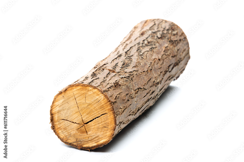 Willow log isolated over white background Willow log isolated over white background